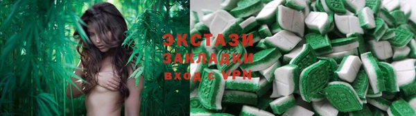 индика Абинск