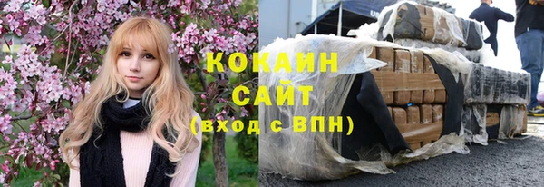 индика Абинск