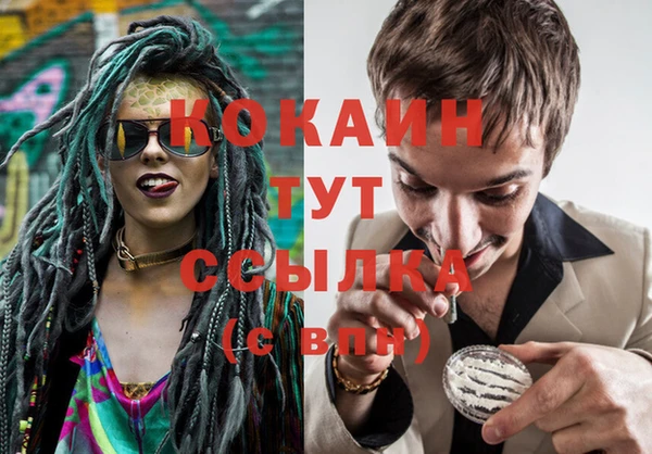 индика Абинск