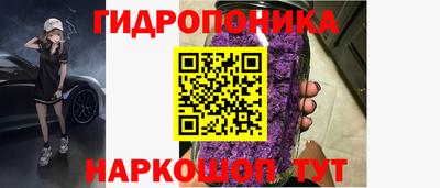 ешки Новокубанск