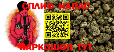 ешки Новокубанск