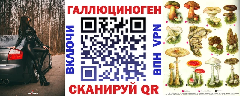 блэк спрут сайт Нижнекамск Псилоцибиновые грибы MAGIC MUSHROOMS