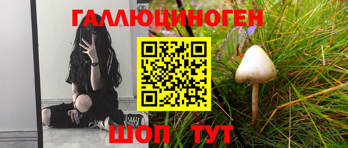 купить   Вход с VPN  Нижнекамск  Галлюциногенные грибы ЛСД 