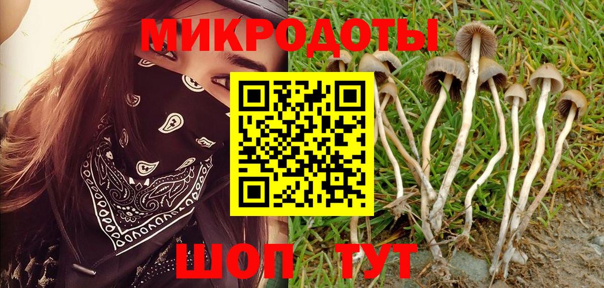 Псилоцибиновые грибы MAGIC MUSHROOMS Нижнекамск