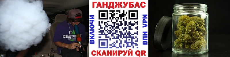 где продают наркотики  Нижнекамск  Конопля Amnesia 